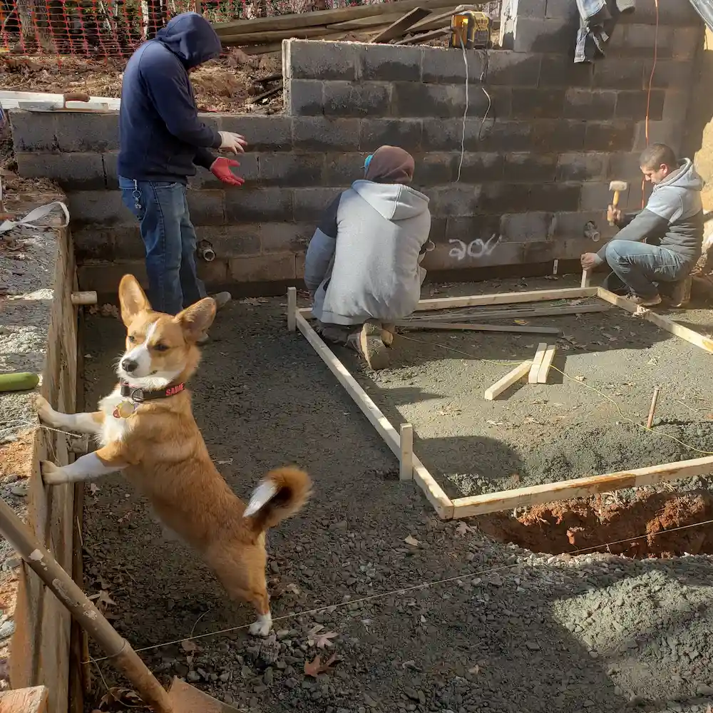 Sadie the corgi inspecting the concrete footing excavation